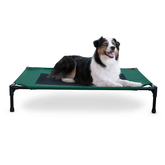 K&H Pet Products Original Pet Cot Elevated Pet Bed Large Green/Black 30 x 42 x 7 For Pet With Love