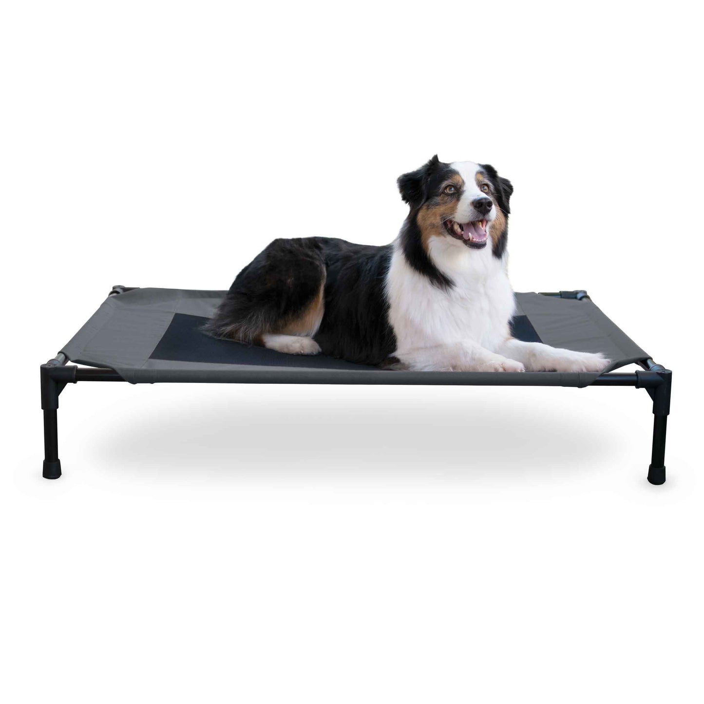 K&H Pet Products Original Pet Cot Elevated Pet Bed Large Charcoal/Black 30 x 42 x 7 For Pet With Love