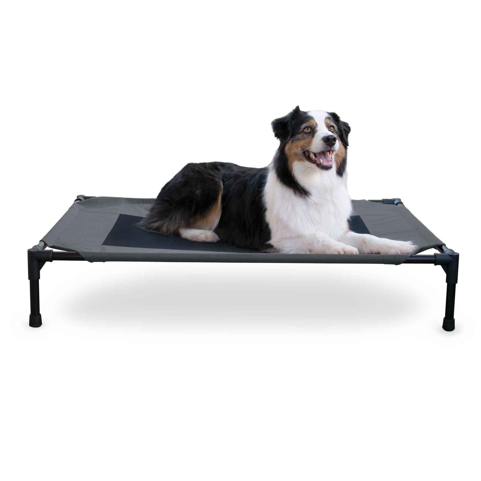 K&H Pet Products Original Pet Cot Elevated Pet Bed Large Charcoal/Black 30 x 42 x 7 For Pet With Love