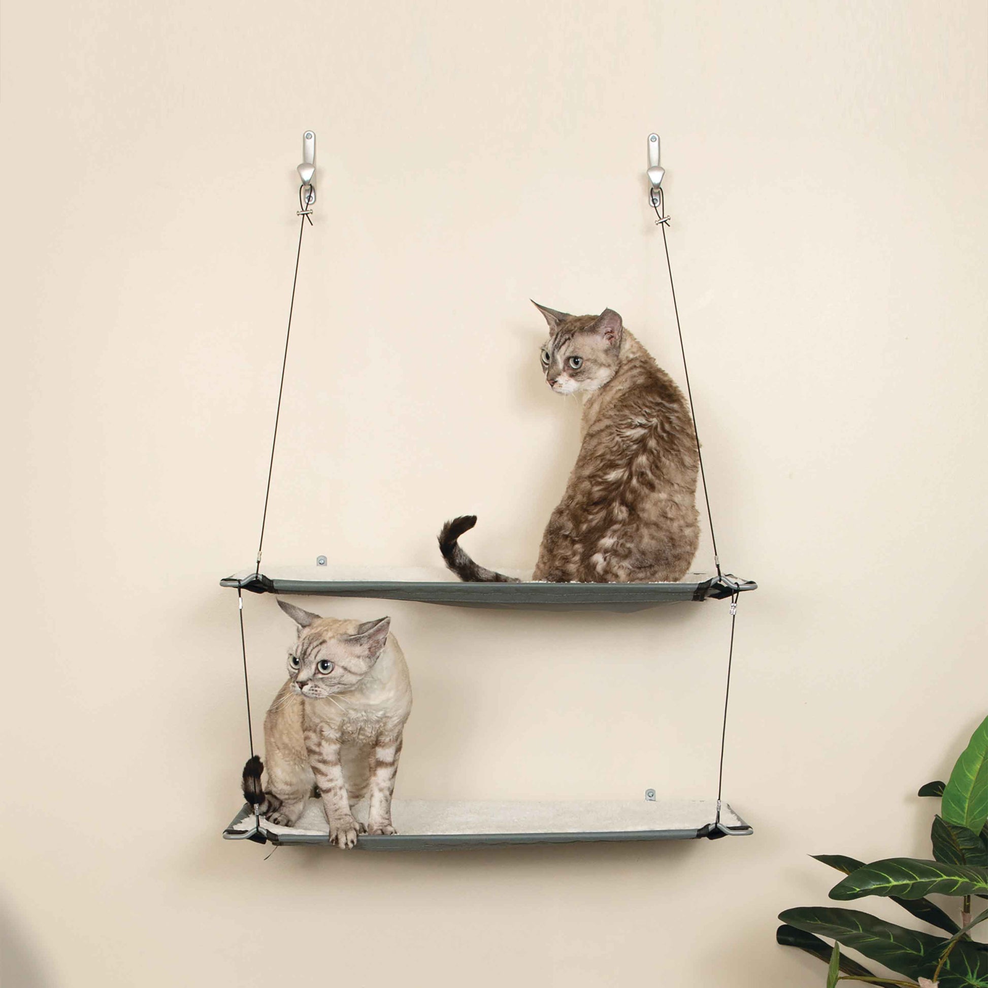 K&H Pet Products Wall Mounted Cat Shelf Double Level Natural 23 x 12 x 31 For Pet With Love