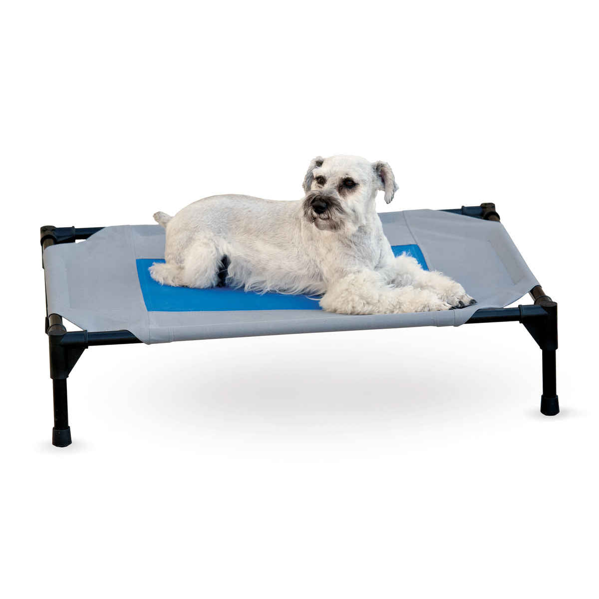 K&H Pet Products Coolin' Pet Cot Medium Gray / Blue 25 x 32 x 7 For Pet With Love