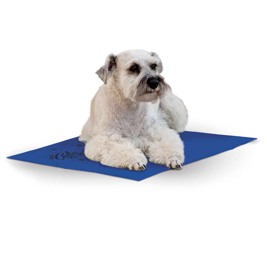 K&H Pet Products Coolin Pet Pad Medium Blue 15 x 20 x 0.75 For Pet With Love
