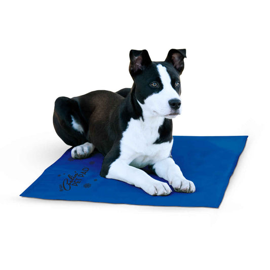 K&H Pet Products Coolin Pet Pad Large Blue 20 x 36 x 0.75 For Pet With Love