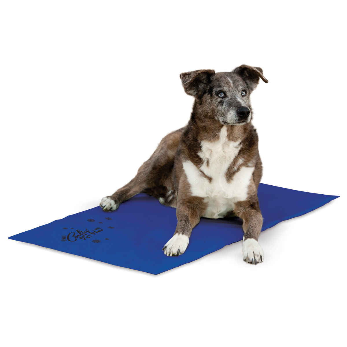 K&H Pet Products Coolin Pet Pad Extra Large Blue 27 x 38 x 0.75 For Pet With Love