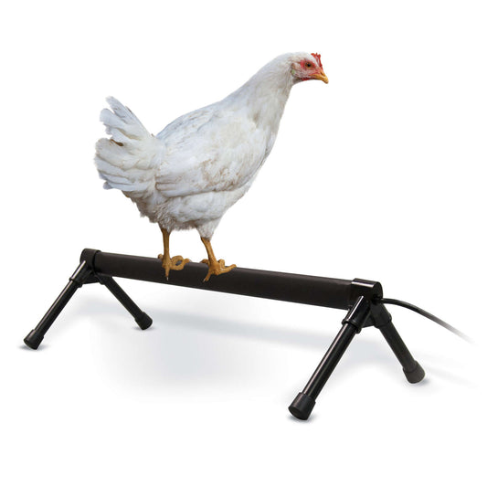 K&H Pet Products Thermo-Chicken Perch Gray 26 x 14 x 8 For Pet With Love