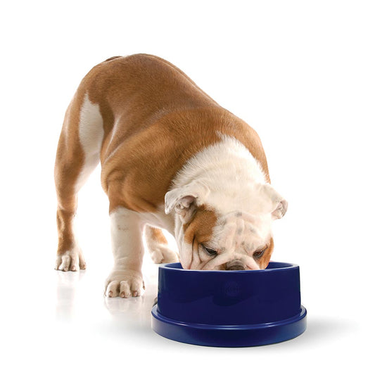 K&H Pet Products Pet Coolin' Bowl 96 ounces Blue 11.5 x 11.5 x 4 For Pet With Love