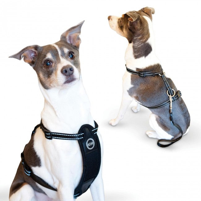 K&H Pet Products Travel Safety Pet Harness Extra Large Black For Pet With Love