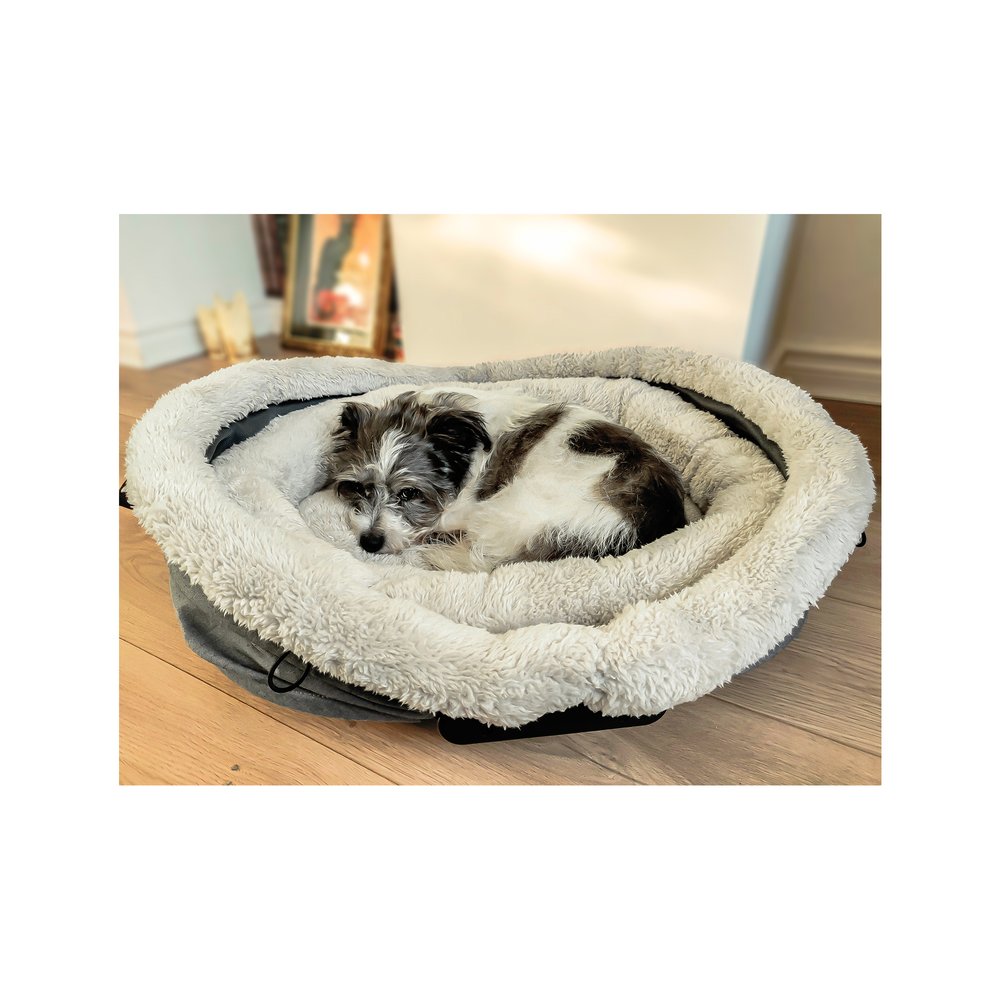 Bear Bear Pet Nest and Go Pet Bed and Carrier Gray 24 x 23 x 16 For Pet With Love