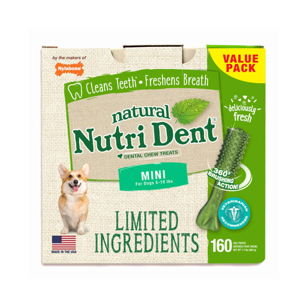 Nylabone Nutri Dent Limited Ingredient Dental Chews Fresh Breath Mini 160 count For Pet With Love