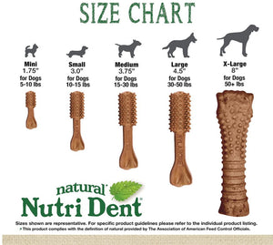 Nylabone Natural Nutri Dent Filet Mignon Limited Ingredients Medium Dog Chews For Pet With Love