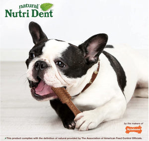 Nylabone Natural Nutri Dent Filet Mignon Limited Ingredients Medium Dog Chews For Pet With Love