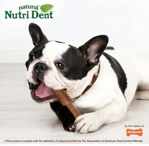 Nylabone Natural Nutri Dent Filet Mignon Limited Ingredients Medium Dog Chews For Pet With Love