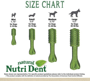 Nylabone Natural Nutri Dent Fresh Breath Limited Ingredients Large Dog Chews For Pet With Love