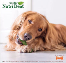 Load image into Gallery viewer, Nylabone Natural Nutri Dent Fresh Breath Limited Ingredients Large Dog Chews For Pet With Love
