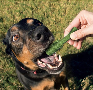 Nylabone Natural Nutri Dent Fresh Breath Limited Ingredients Large Dog Chews For Pet With Love