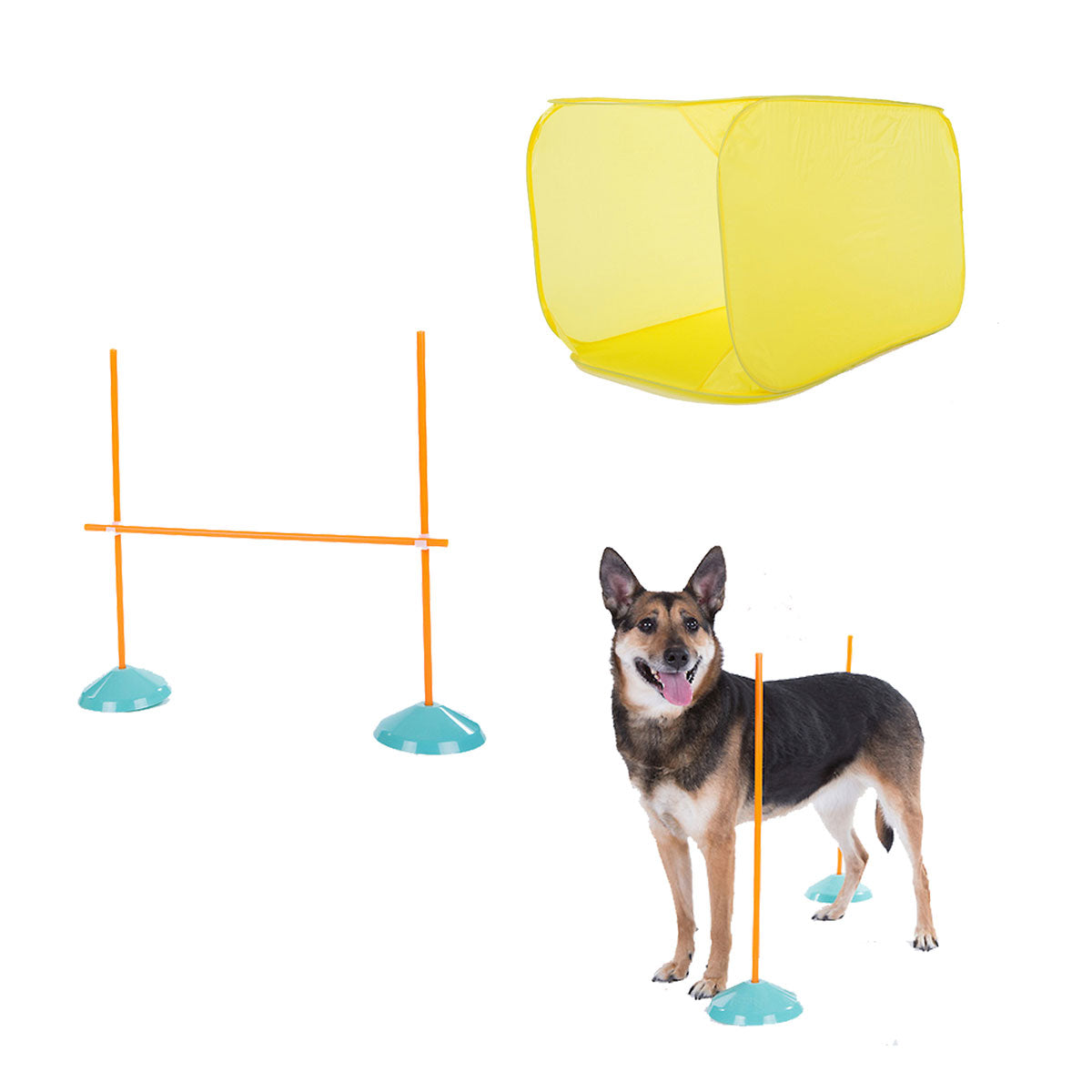 Outward Hound Dog Agility Starter Kit Indoor For Pet With Love