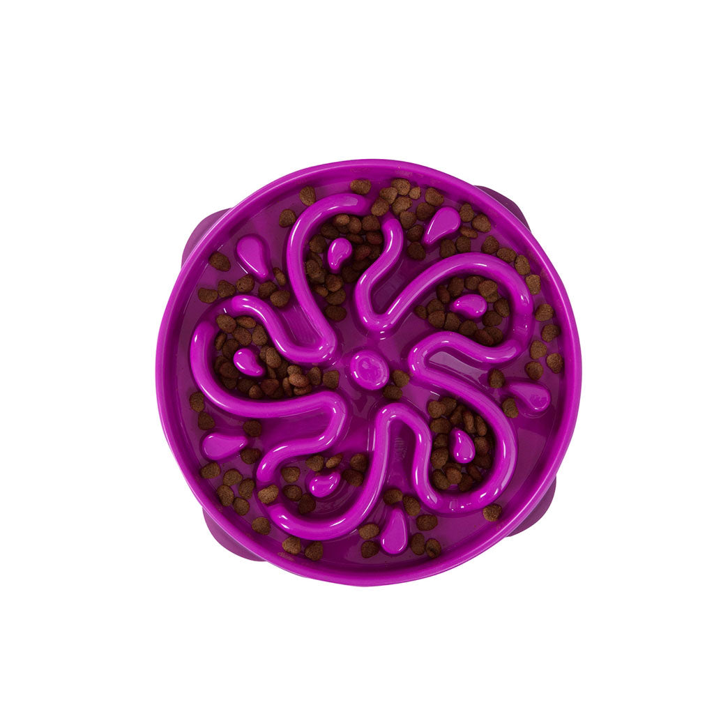 Outward Hound Fun Feeder Slo-Bowl Flower Small Purple 8 x 8 x 2 For Pet With Love