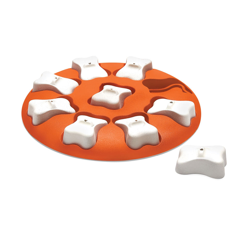 Outward Hound Nina Ottosson Dog Smart Puzzle Game Large Orange 11 x 11 x 1.8 For Pet With Love