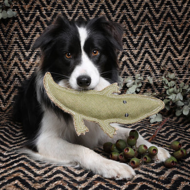 DOOG Outback Tails Steve the Cory Crocodile Jute Chew Toy Green 11.81 x 5.90