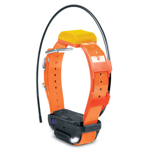 Dogtra Pathfinder2 TRX Extra Receiver Collar Orange