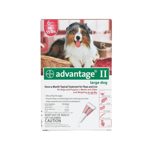 Advantage Flea Control for Dogs and Puppies 21-55 lbs 6 Month Supply For Pet With Love