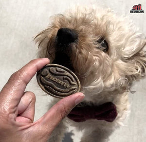 Redbarn Pet Products Chew-A-Bulls Chip Dental Dog Treats Medium For Pet With Love