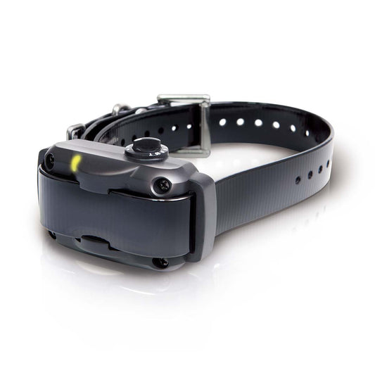 Dogtra STB Beeper Collar Hawk Version For Pet With Love