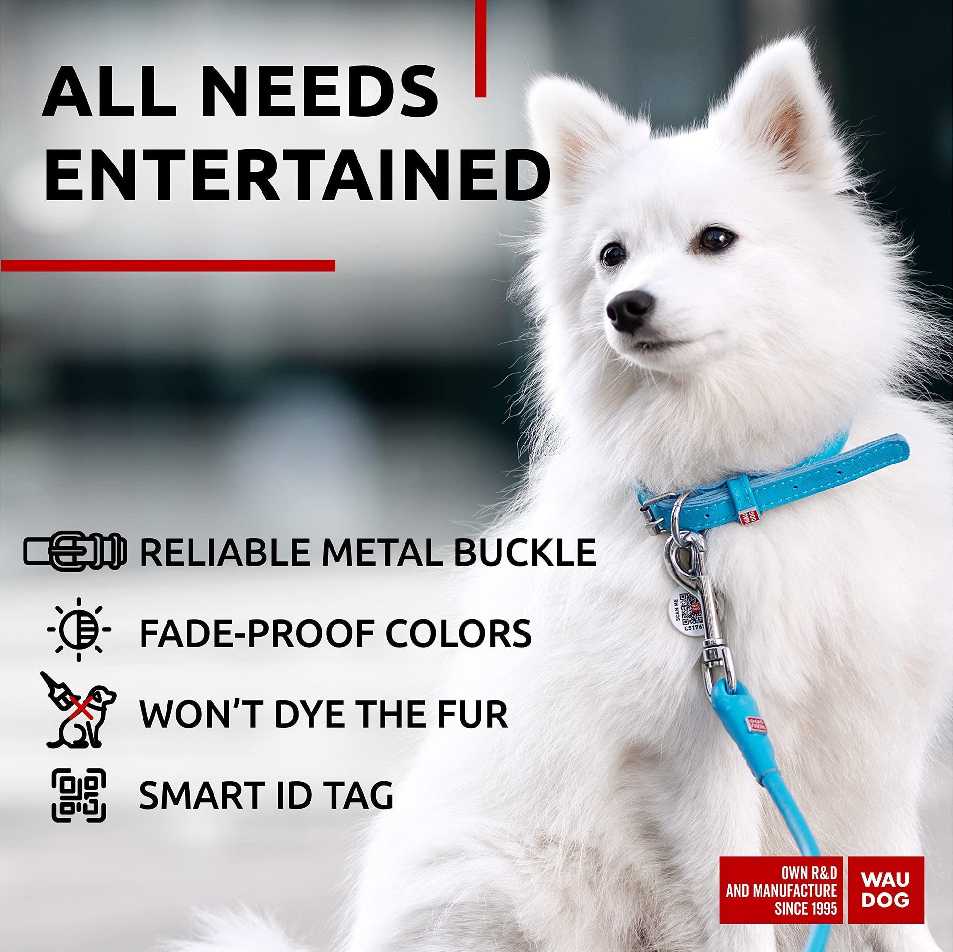 WAUDOG Ultra Soft Rolled Leather Soft Padded Dog Collar. BLUE. X-Small For Pet With Love