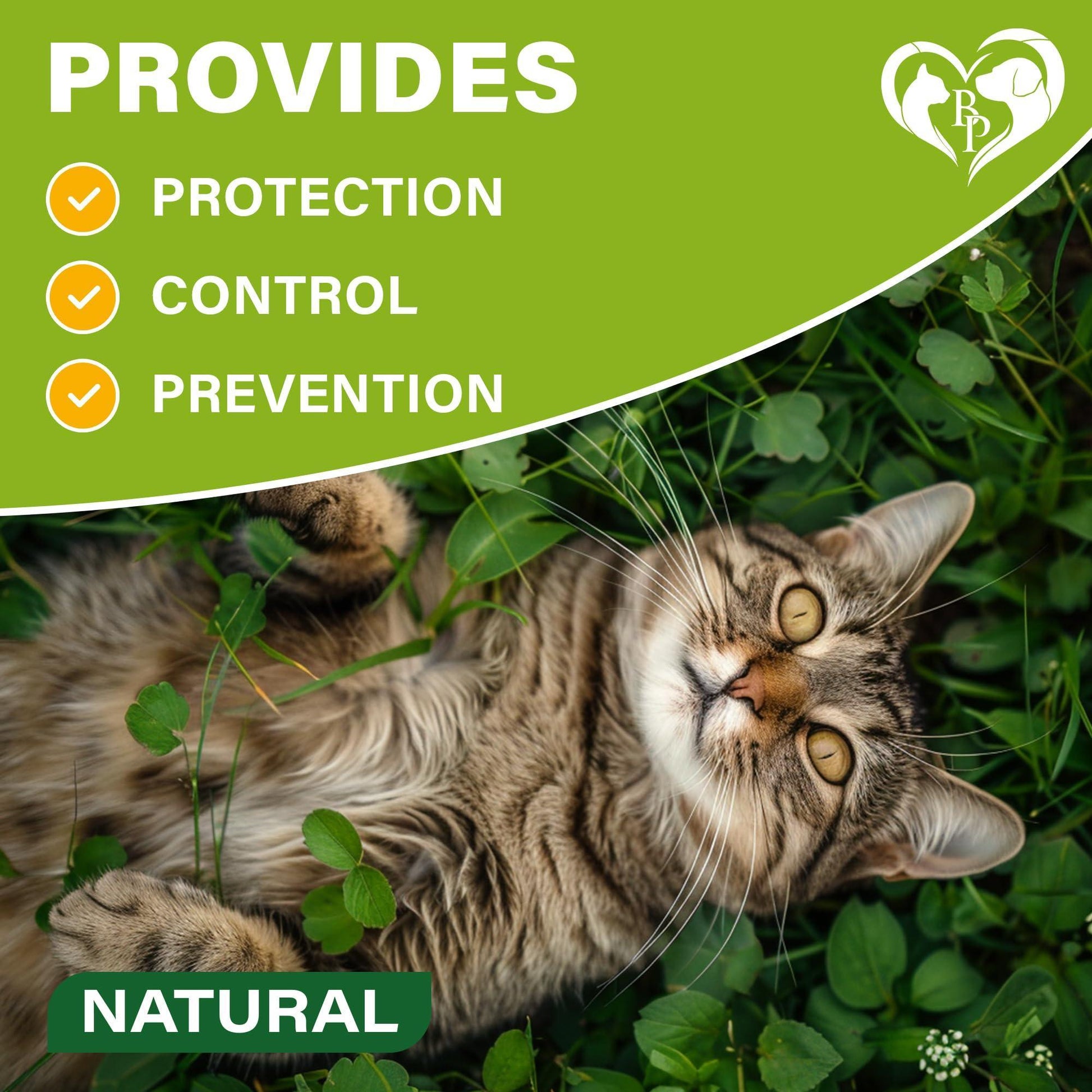 Beloved Pets Natural Flea & Tick Collar for Cats. 12 Months Control of Best Prevention & Safe Treatment with Essential Oil Repellent (1 Count) For Pet With Love
