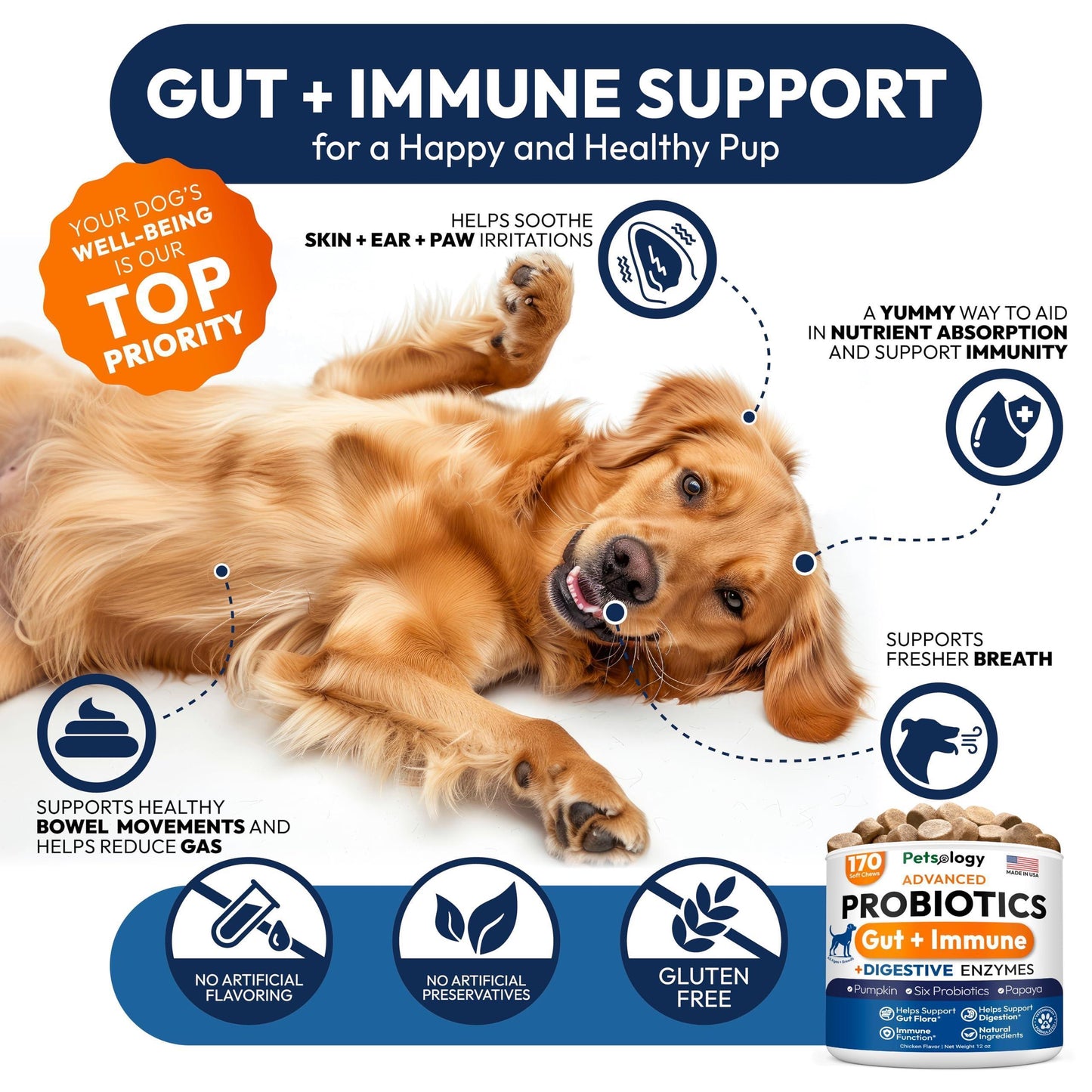 PETSOLOGY Digestive Enzymes & Prebiotics Supplement for Dogs 170 Chews For Pet With Love