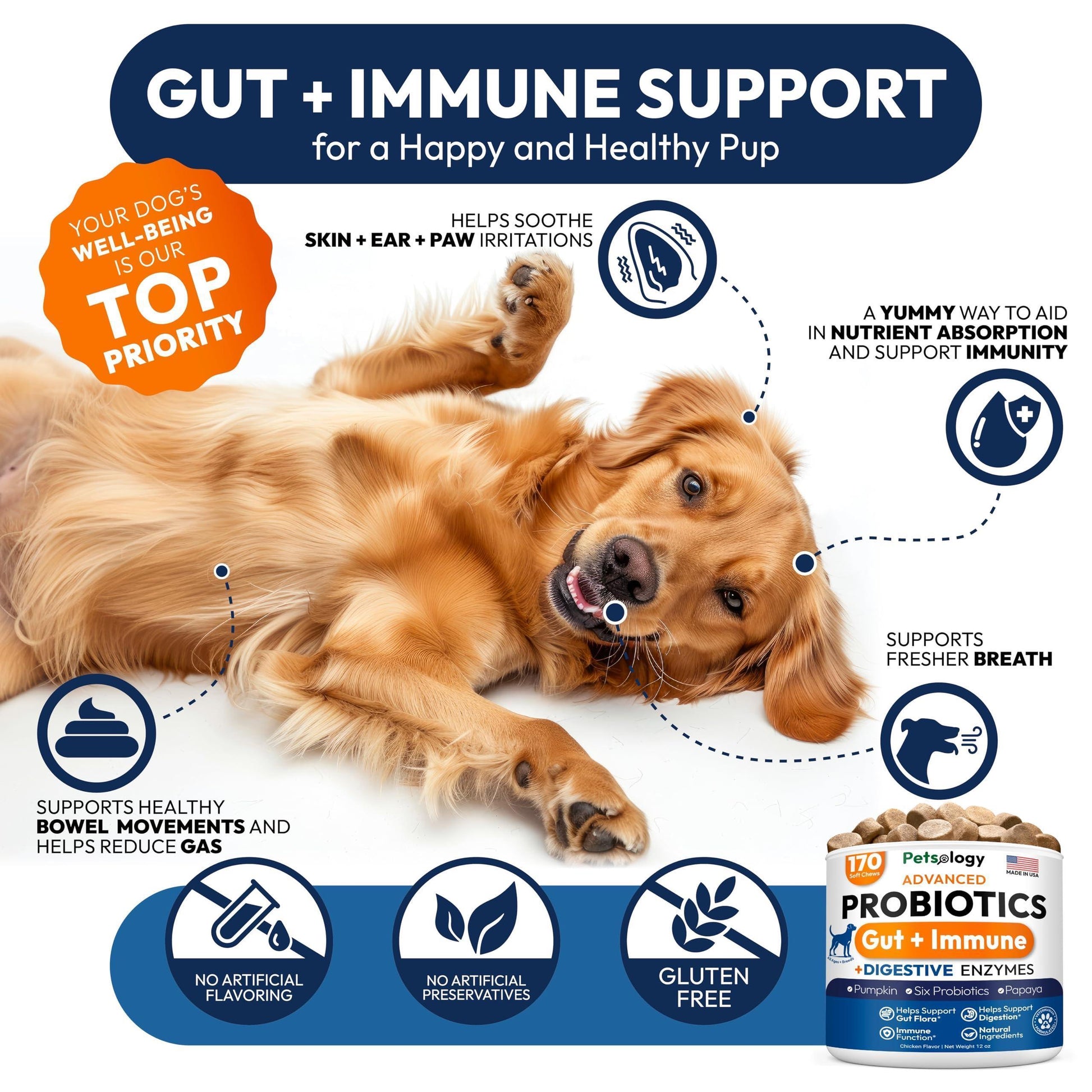 PETSOLOGY Digestive Enzymes & Prebiotics Supplement for Dogs 170 Chews For Pet With Love
