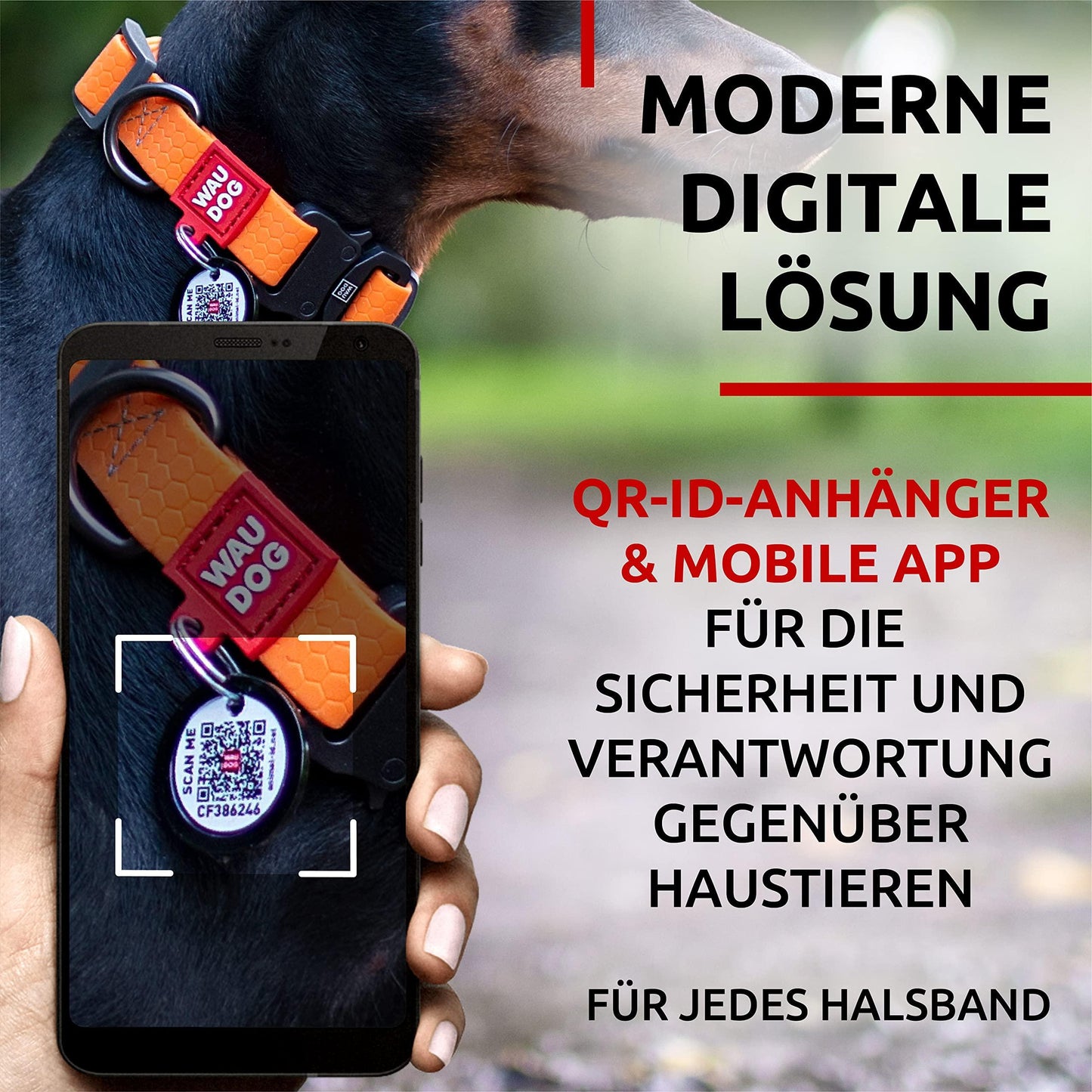 WAUDOG Adjustable Waterproof Dog Collar with Durable Metal Clasp and QR Dog Tag ORANGE SMALL For Pet With Love
