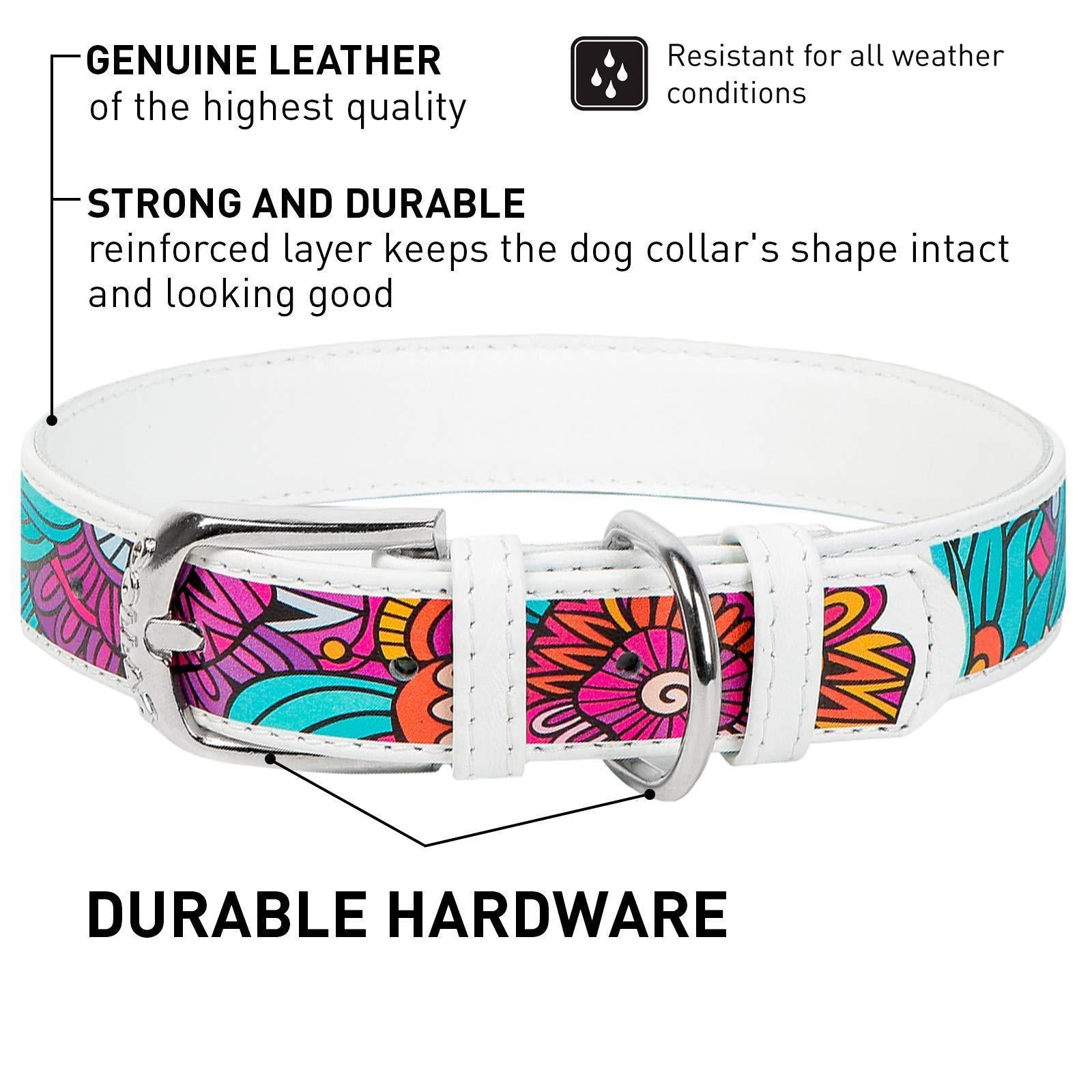 WAUDOG Design Leather Dog Collar for Dogs (Summer Print)  7 1/5" - 9 2/5" Neck X 1/2" Wide For Pet With Love
