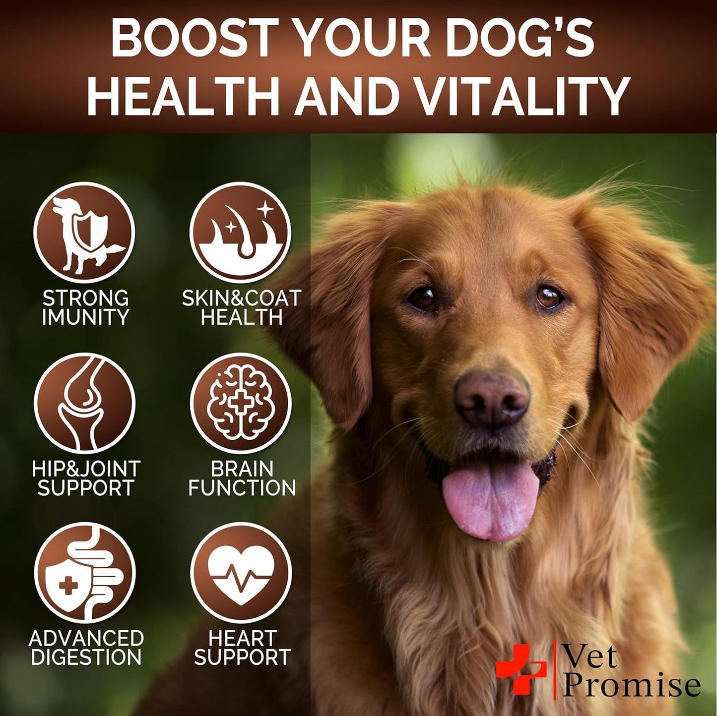 Vet Promise Multivitamin Mushroom Supplement for Dogs (170 Chews) For Pet With Love