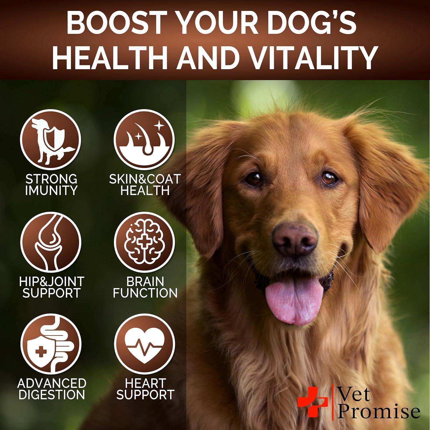 Vet Promise Multivitamin Mushroom Supplement for Dogs (170 Chews) For Pet With Love