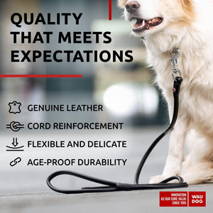 Rolled Leather Dog Leash 4Ft * 0.4 in for Small Medium and Large Dogs   Heavy