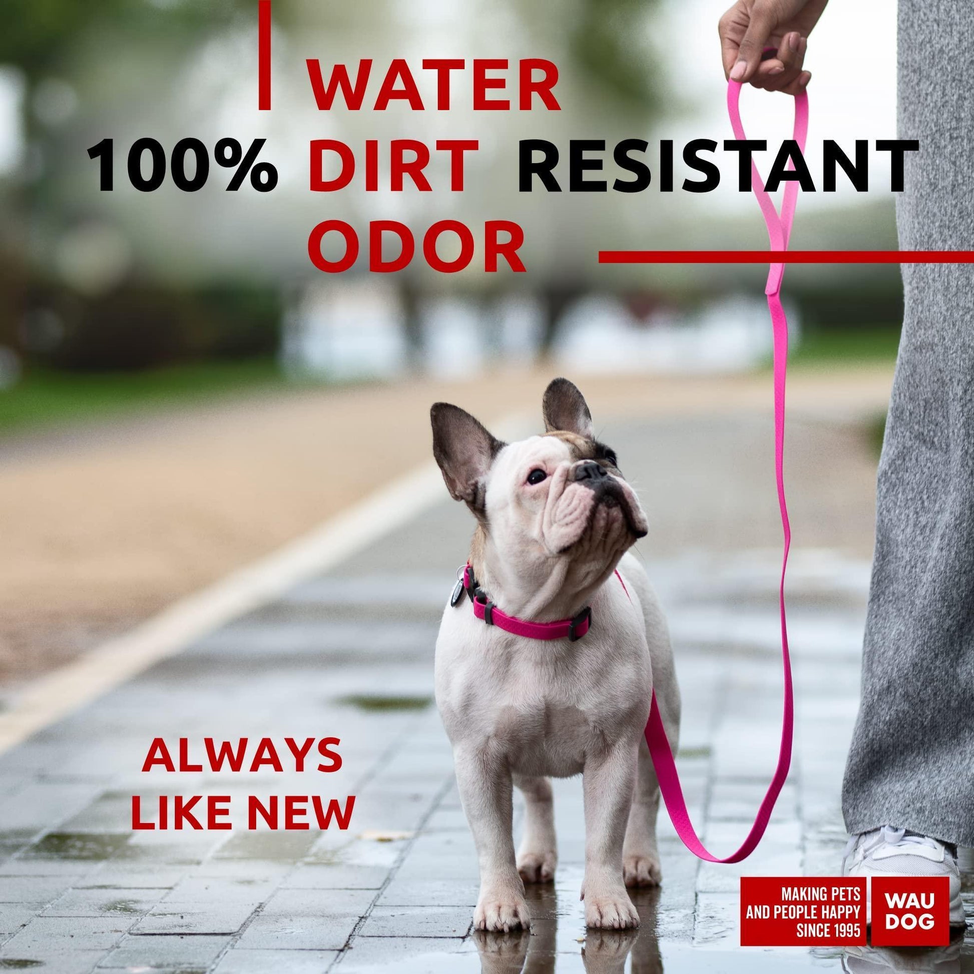 Waterproof Dog Leash 4 Ft   6 Ft   Anti Slip Dog Leash for Large Dogs Small and For Pet With Love