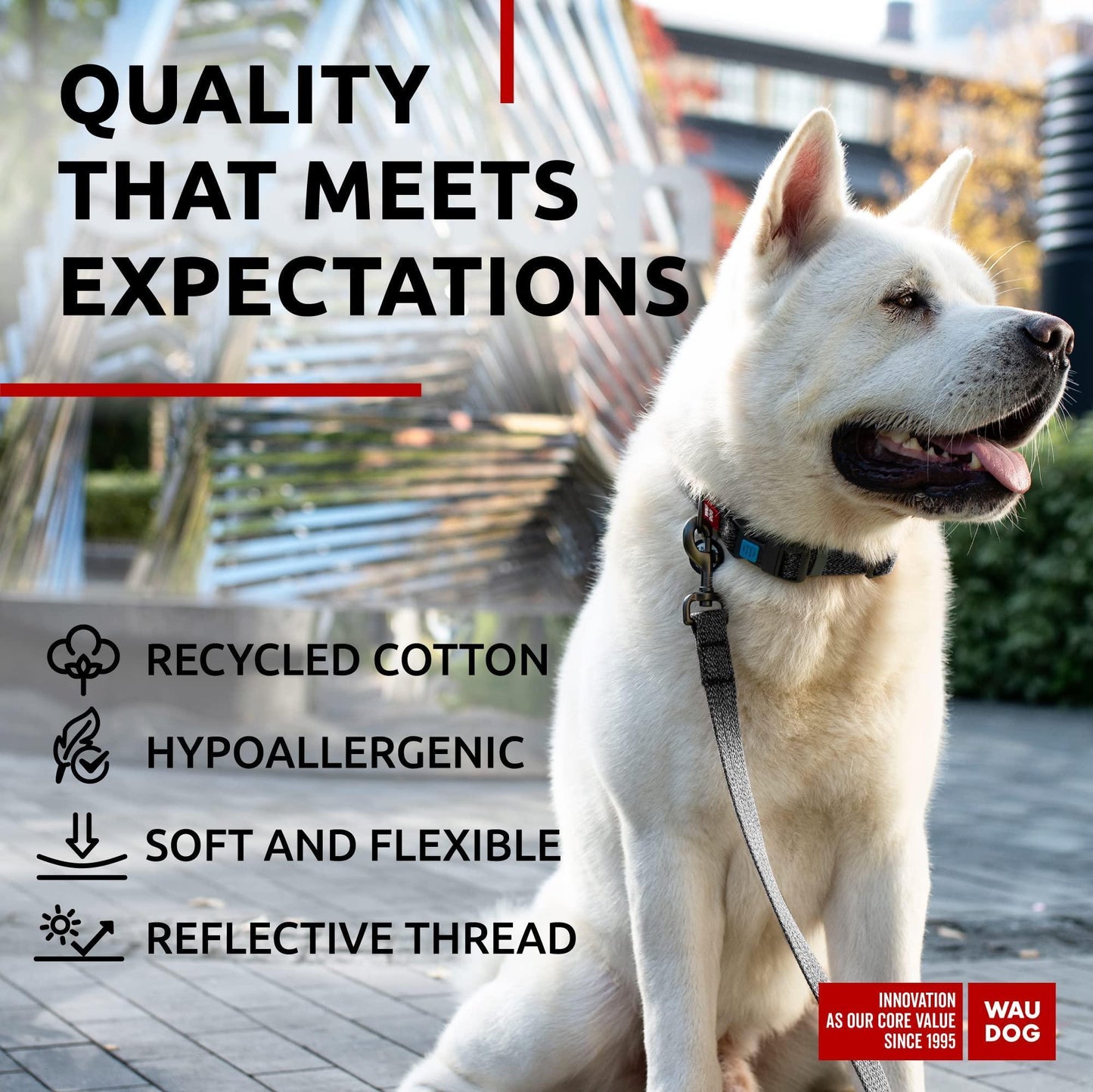 WAUDOG Recycled Cotton Dog Leash 6 Ft   10 Ft Eco Friendly Collar for Small For Pet With Love
