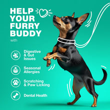 Load image into Gallery viewer, CHEWIA Dog Probiotic Chews with Digestive Enzymes, Pumpkin and Yeast Powder for Gut Health, Digestion Immunity, Yeast Balance, Itchy Skin Allergies Support. 180 Chews. For Pet With Love
