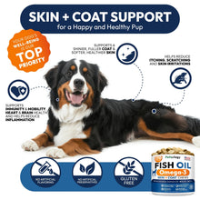 Load image into Gallery viewer, PETSOLOGY Omega 3 Fish Oil Skin &amp; Coat Supplement for Dogs 170 Chews
