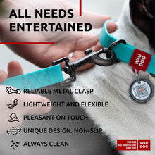 Load image into Gallery viewer, WAUDOG Waterproof Dog Leash 4 Ft   6 Ft   Anti Slip Dog Leash for Large Dogs
