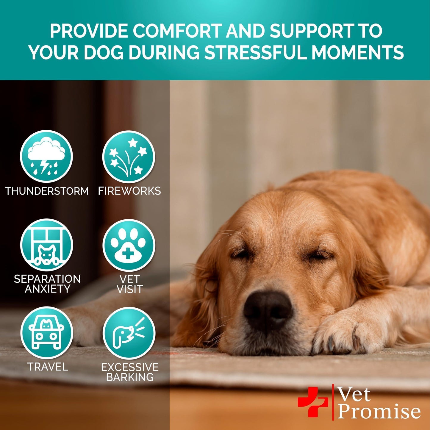 Vet Promise Advanced Calming Hemp Anxiety Relief Chews for Dogs with Melatonin. Stress & Separation Anxiety, Sleep Aid, Hip and Joint Supplement Support.  Made in USA (70 Treats) For Pet With Love