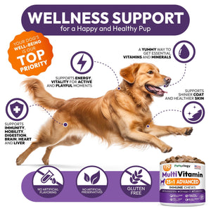 Dog Multivitamin Chewable   Dog Vitamins and Supplements with Glucosamine   170