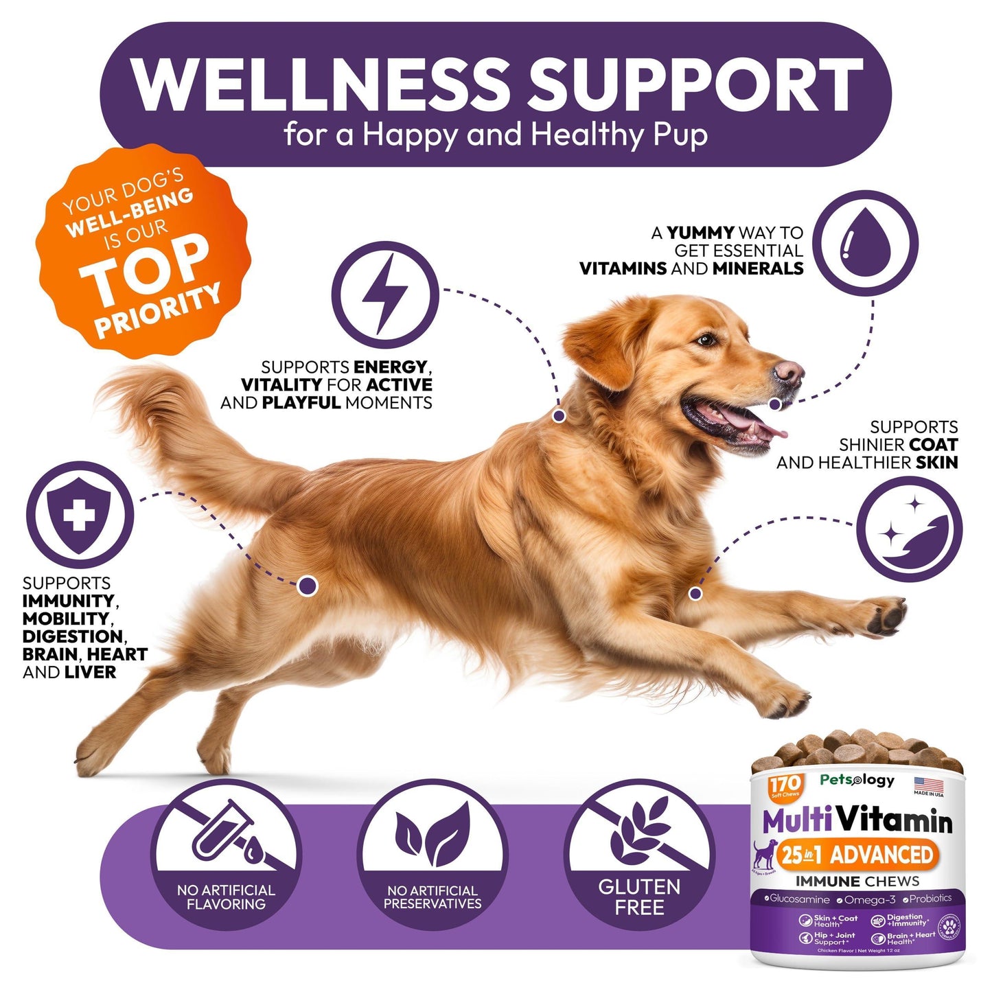 PETSOLOGY Dog Multivitamin and Hip & Joint Support with Glucosamine 170 Chews For Pet With Love