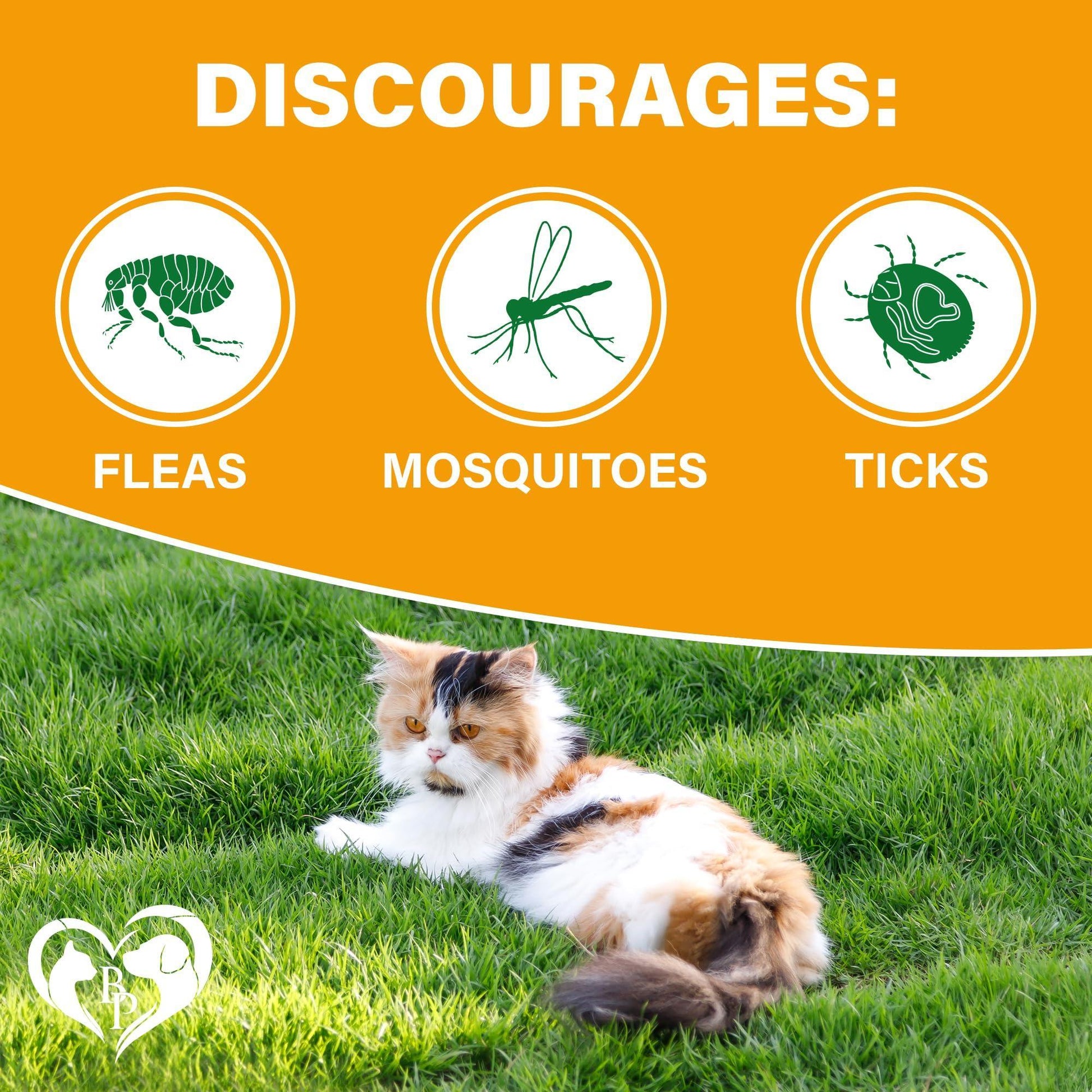 Beloved Pets  Revolution Flea and Tick Prevention Chewable Pills for Cats. Pest Control & Natural Defense. Chewables Small Tablets. Made in USA (240 Chicken Flavored Chews) For Pet With Love