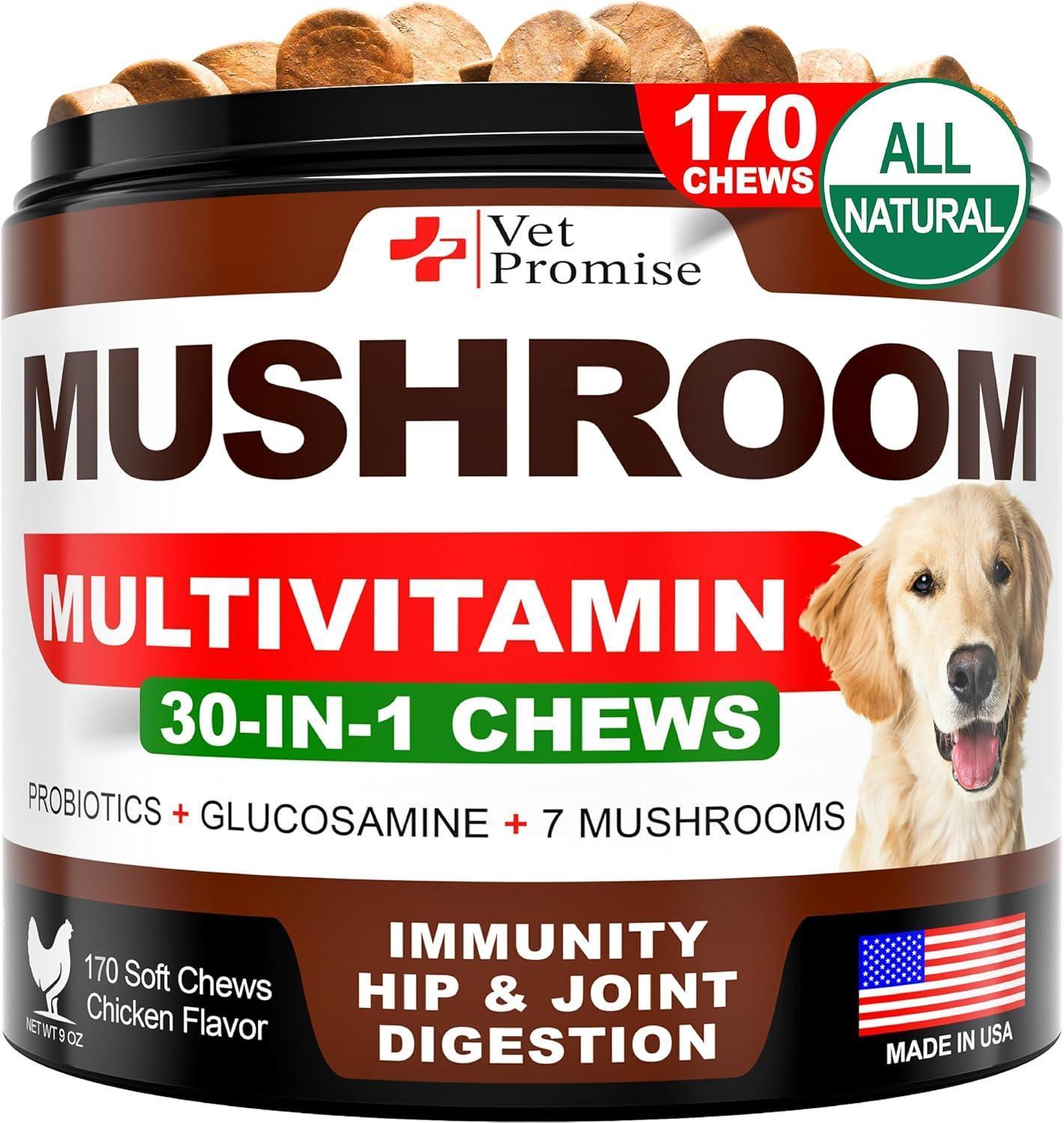 Vet Promise Multivitamin Mushroom Supplement for Dogs (170 Chews) For Pet With Love