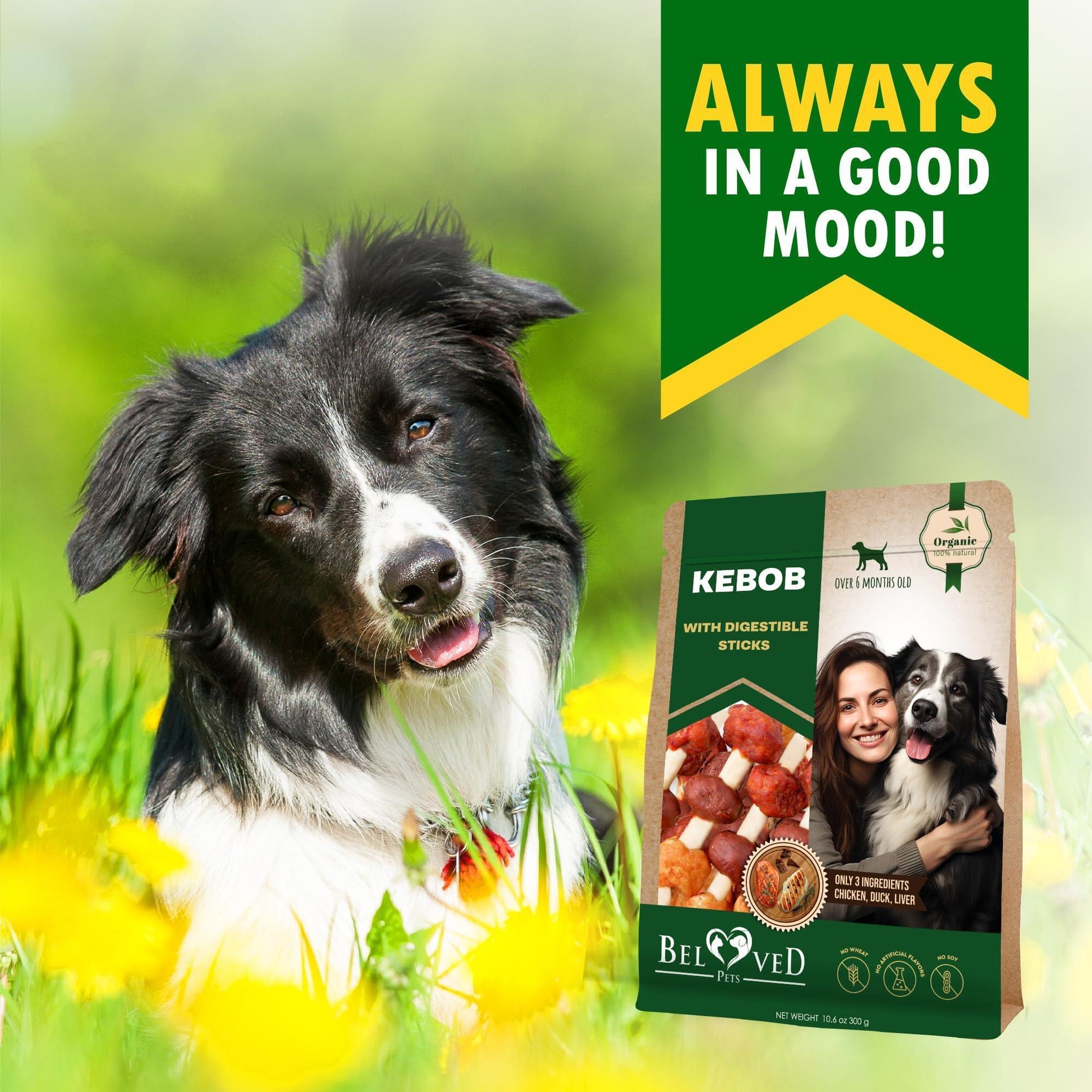 Beloved Pets All Natural & Organic Kabobs Dog Treats with Duck & Chicken Meat 10.6 Oz For Pet With Love