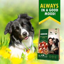 Load image into Gallery viewer, Beloved Pets All Natural &amp; Organic Kabobs Dog Treats with Duck &amp; Chicken Meat 10.6 Oz
