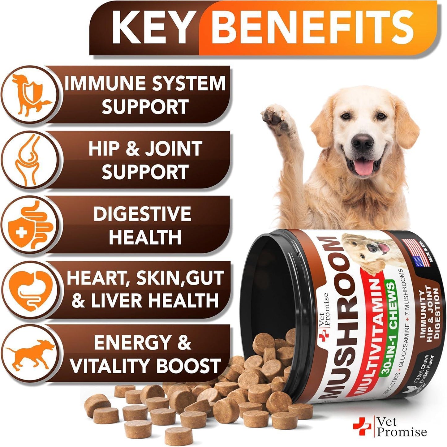Vet Promise Multivitamin Mushroom Supplement for Dogs (170 Chews) For Pet With Love