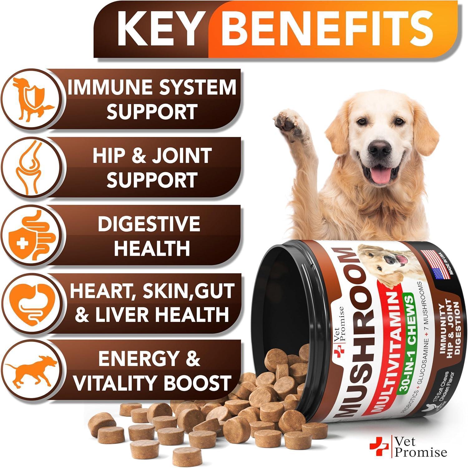 Vet Promise Multivitamin Mushroom Supplement for Dogs (170 Chews) For Pet With Love